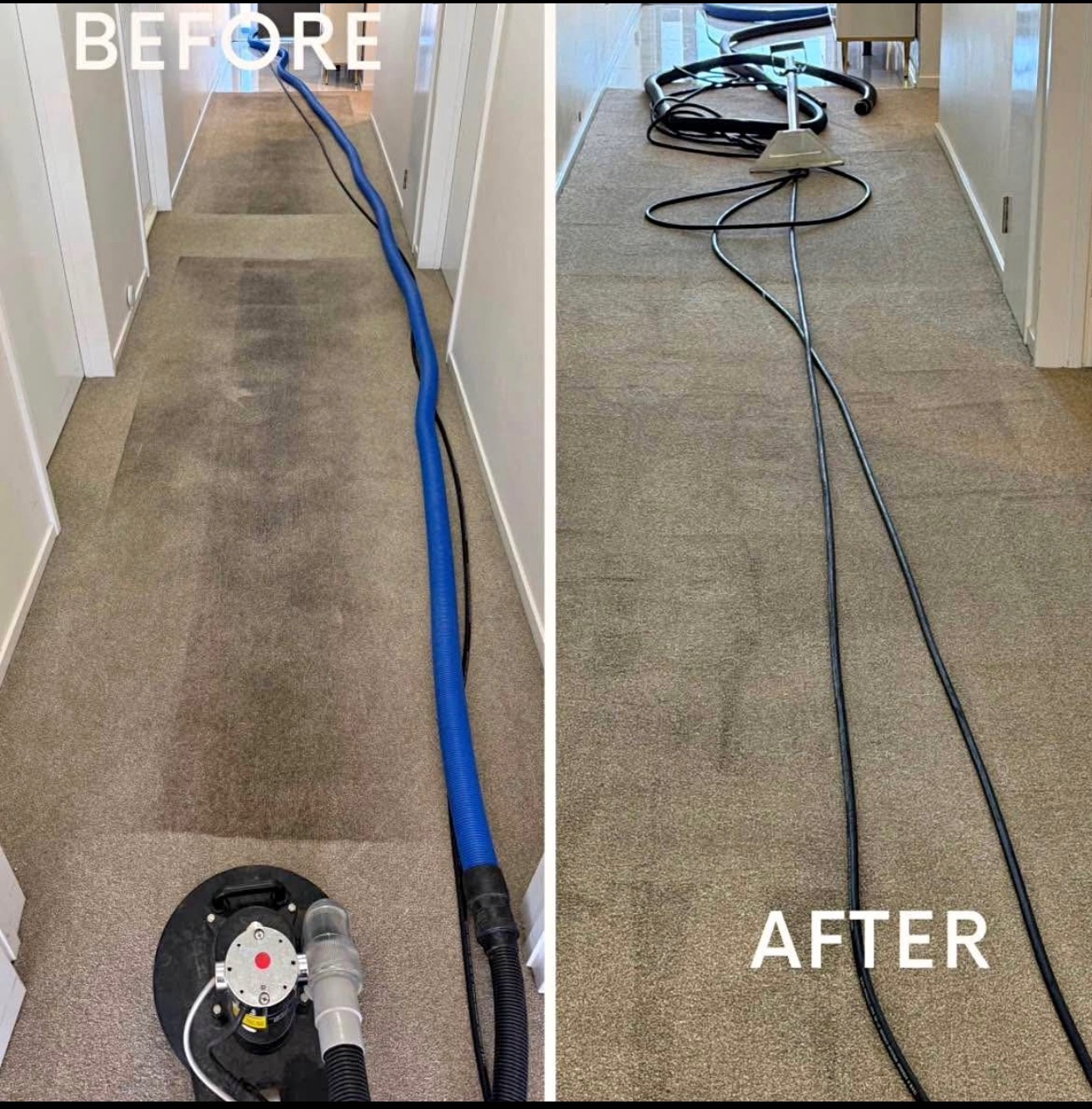 Person Taking Care Office Cleaning