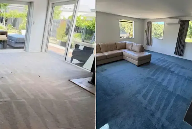 Move In Cleaning in Christchurch