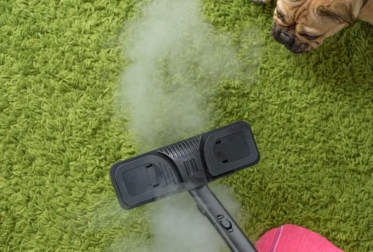 Odour Elimination & Deodorizing in Christchurch