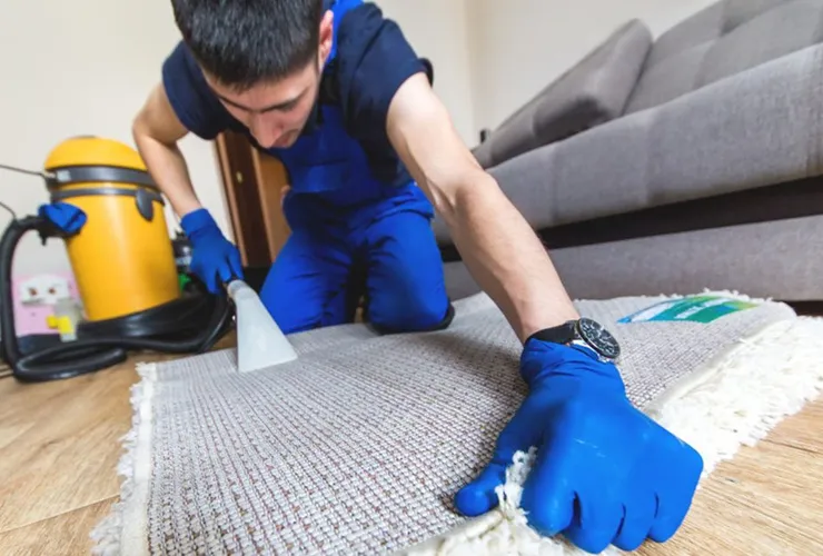 Rug Cleaning & Protection in Christchurch