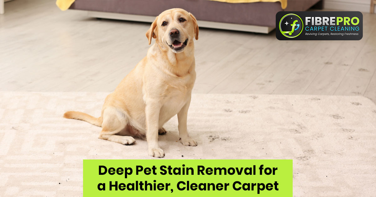 Pet Stain Removal