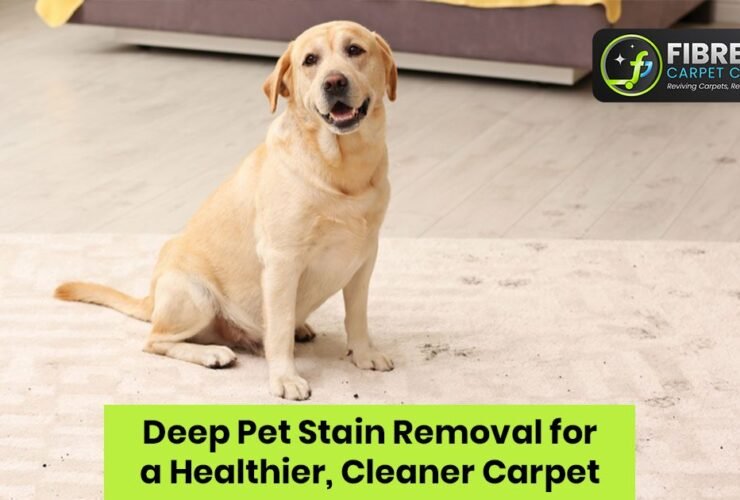 Deep Pet Stain Removal for Cleaner Carpets