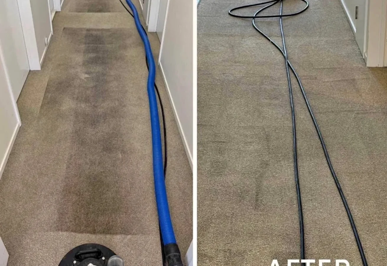 Flood Restoration & Water Extraction in Christchurch