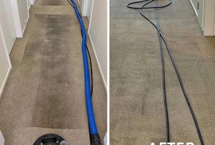 Flood Restoration & Water Extraction in Christchurch