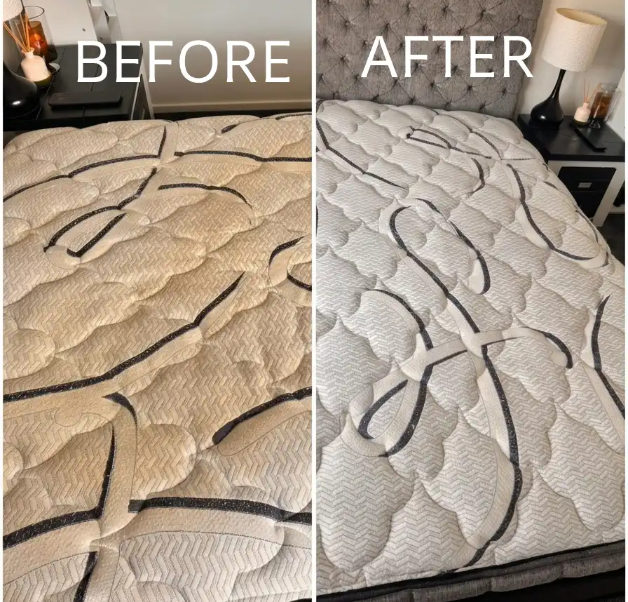 Tile Cleaning in Christchurch